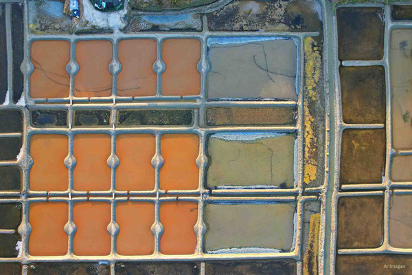 2023-60 _Marais salants, Guérande (44)