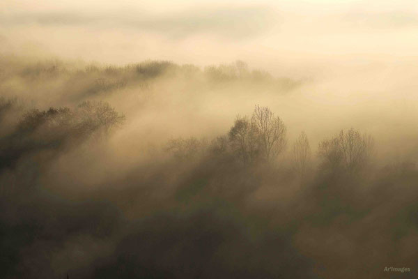 2023-146 _Vagues de brume sur l'île Dorelle, Oudon (44)