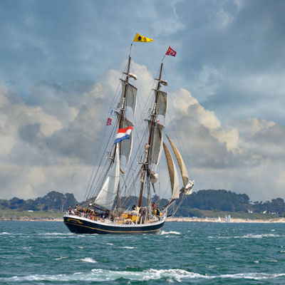 2025-082 _ Le Morgenster, Fête du Golfe (56) _ 50 * 50 cm _ 50 €