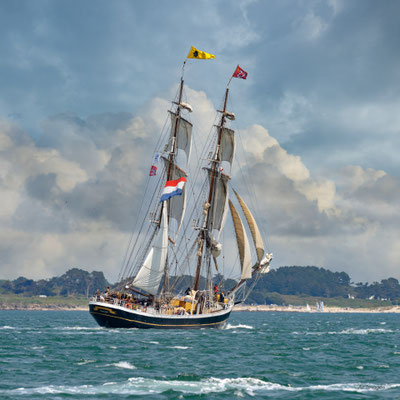 2025-082 _ Le Morgenster, Fête du Golfe (56) _ 50 * 50 cm _ 50 €___VENDUE