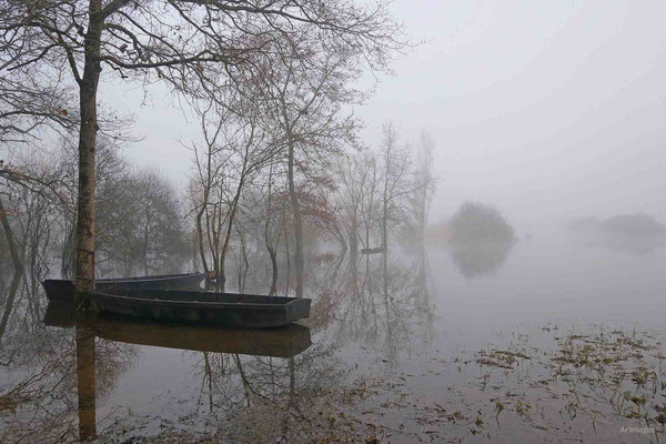 2023-89 _Marais de Goulaine (44)