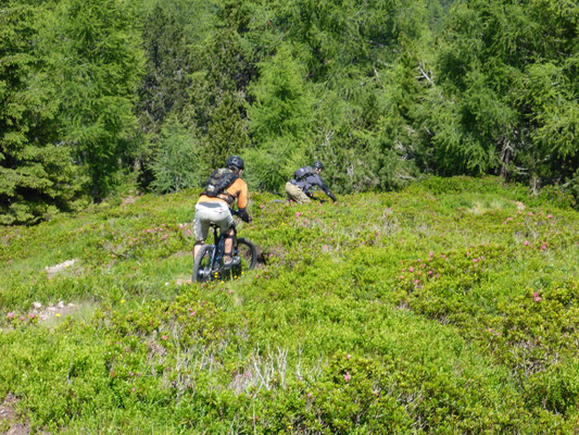 Trails die nur Bike Wanderer erreichen