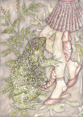 le crapaud