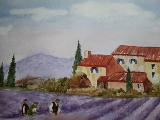 Pat Johnson, lavendar Fiels, watercolour