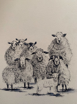 Alan Cummings, some sheep, watercolour