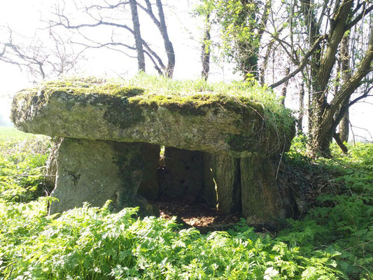 Dolmen de Laverré (Aslonnes)