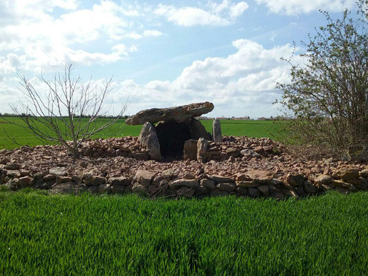 Dolmen de Maranzais (C) (Taizé)