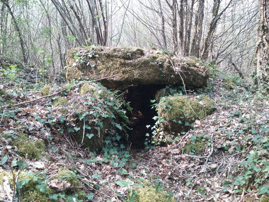 Dolmen de Busserais (Bussière)