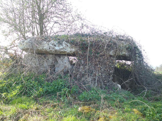 Dolmen dit La Pierre Levée (Roches-Prémarie-Andillé)