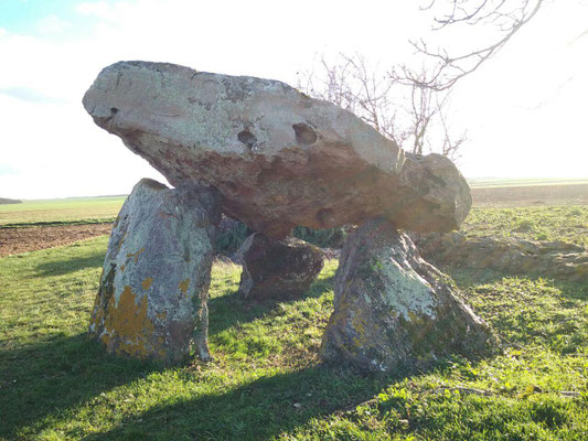 Dolmen de Fontenaille (Champigny-le-Sec)