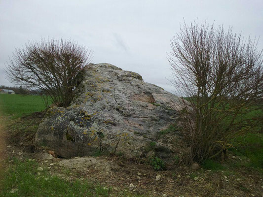 Dolmen de Bernazay (Trois-Moutiers)