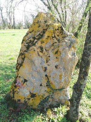 Menhir de Vintray (Aslonnes)