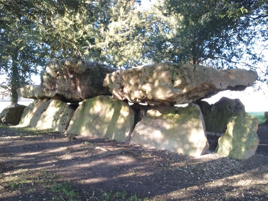 Dolmen dit de Mettray (Saint-Antoine-Du-Rocher)