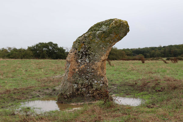 Menhir du Grand-Aslon (Lingé)