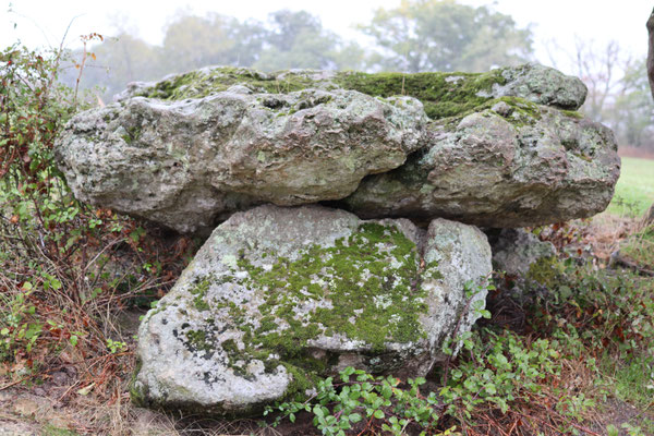 Dolmen de Sénévaut (Ciron)