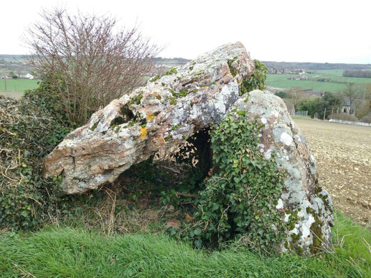 Dolmen des Pelyverts (Senillé)