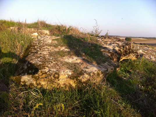 Dolmen, nommé par erreur comme "Menhir dit la Pierre Levée" (Civray-sur-Esves).