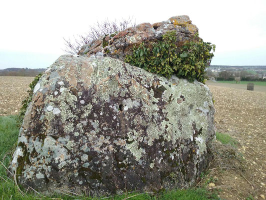 Dolmen des Pelyverts (Senillé)