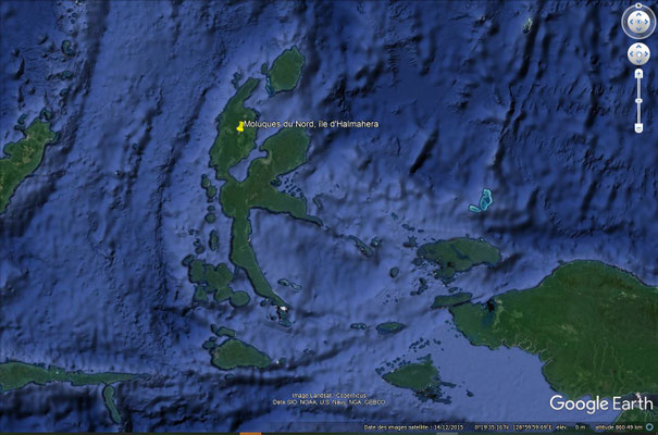 L'Île d'Halmahera