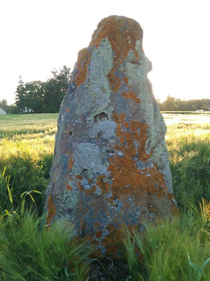 Menhir dit Pierre Levée (Naintré), d'époque gallo-romaine, avec une inscription latine.