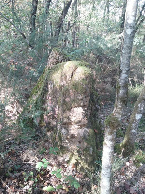 Menhir de la Prade (Chaumussay)