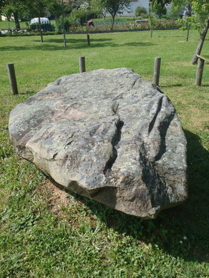 Menhir-polissoir de Souhé (Naintré), monolithe ayant d'abord servi de polissoir avant d'être dressé comme menhir à une époque ultérieure.