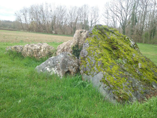 Dolmen dit la Pierre-Levée de Maisonneuve (Roche-Rigault)