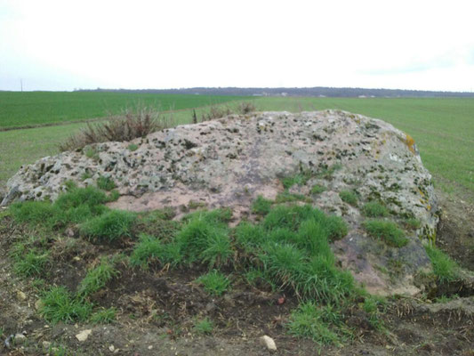 Dolmen de la Rente de Fontevrault (Trois-Moutiers)