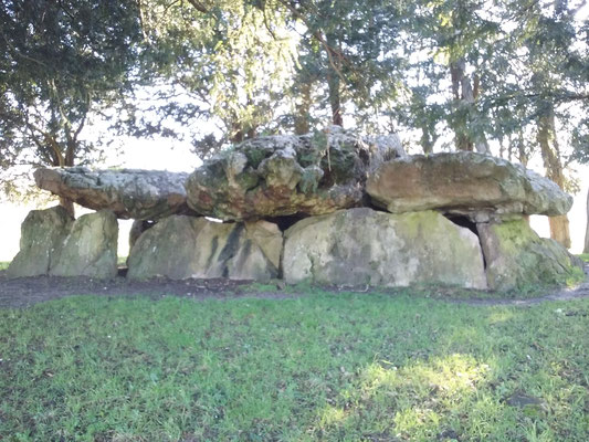 Dolmen dit de Mettray (Saint-Antoine-Du-Rocher)