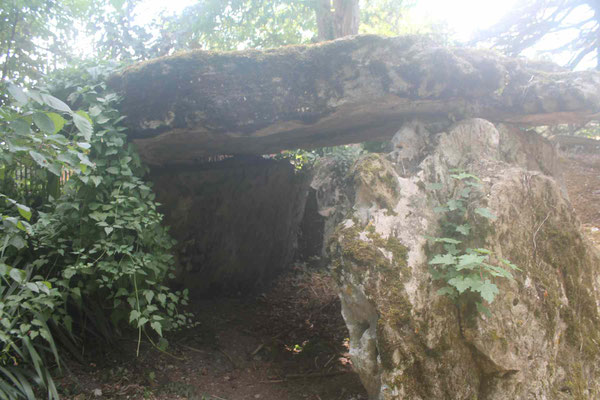 Dolmen dit Le Pavé de Saint-Lazare (L'Île Bouchard) nous remercions la propriétaire des lieux pour son accueil.