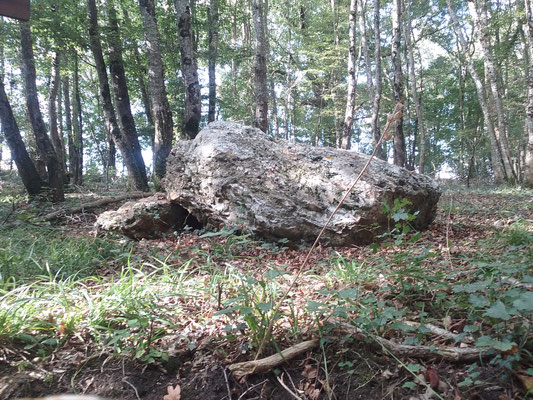 Dolmen de la Chenaillère (Leigné-les-Bois)