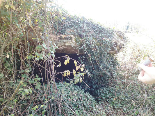 Dolmen dit la Pierre de Tartahuiche (Taizé)