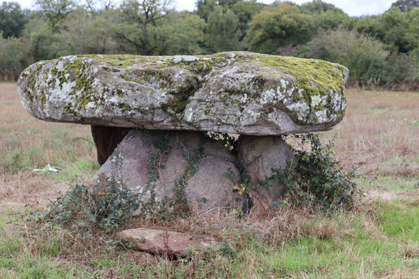 Dolmen des Gorces (Montgarneau)