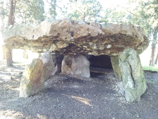 Dolmen dit de Mettray (Saint-Antoine-Du-Rocher)