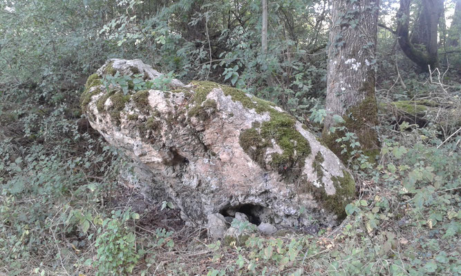 Dolmen du Moulin Créchef (Coussay-les-Bois)
