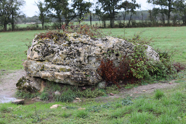 Dolmen des Sablons (Douadic)