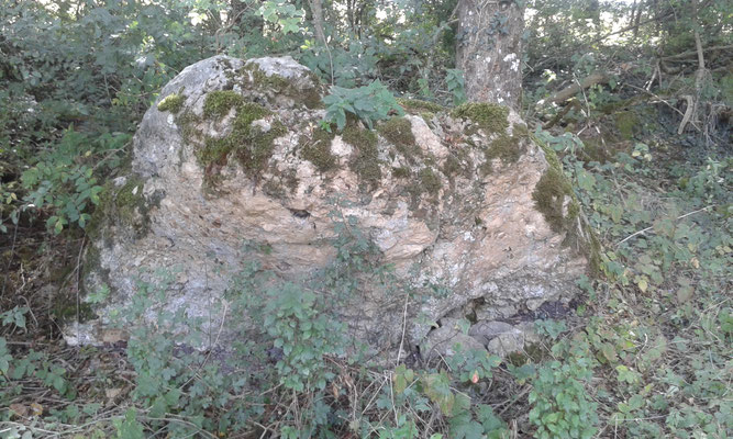 Dolmen du Moulin Créchef (Coussay-les-Bois)