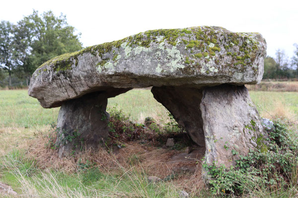 Dolmen dit la Pierre Là (Saint-Plantaire)
