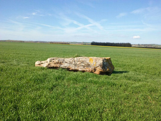 Dolmen dit la Petite Pierre Levée (Saint-Laon)