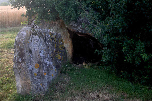 Dolmen dit le Chillou-du-Feuillet (Descartes)