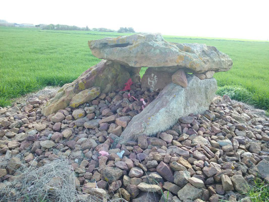 Dolmen de Maranzais (E) (Taizé)