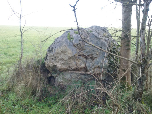 Menhir dit la Pierre à Vinaigre (Saché)