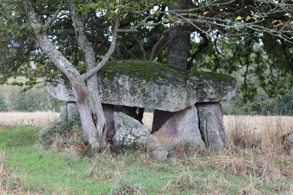 Dolmen dit la Pierre à la Marthe (Montchevrier)