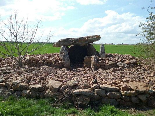 Dolmen de Maranzais (C) (Taizé)