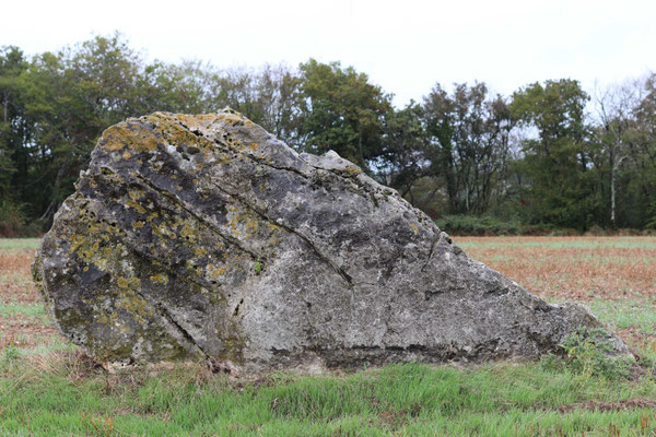 Menhir de Rouilly (B) (Blanc)