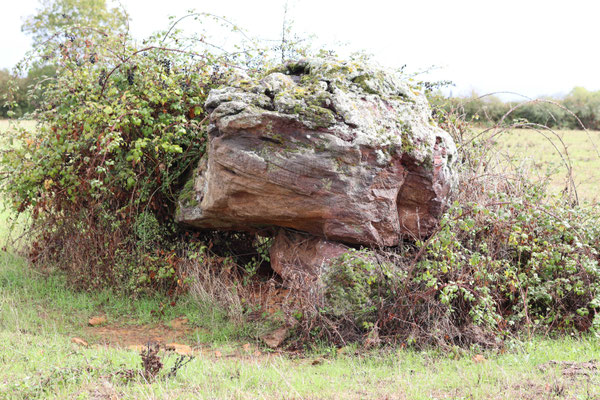 Dolmen des Fromenteaux (Chaillac)