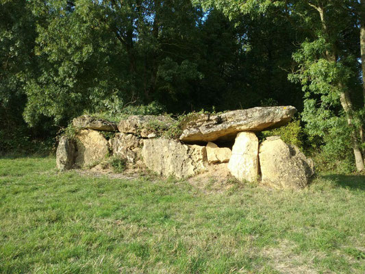 Dolmen de la Grosse Pierre (Beaumont-en-Véron)