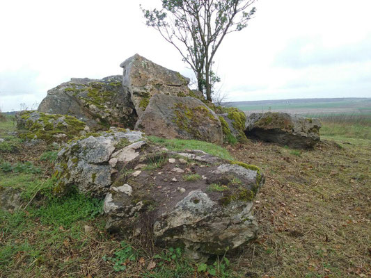 Dolmen de Vernaise (Bournand)