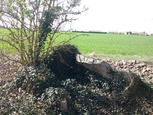 Dolmen de Maranzais (F) (Taizé)