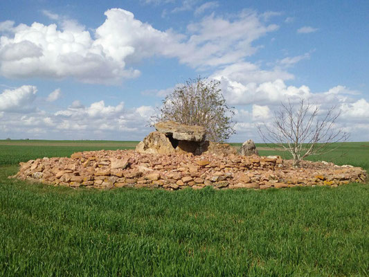 Dolmen de Maranzais (C) (Taizé)